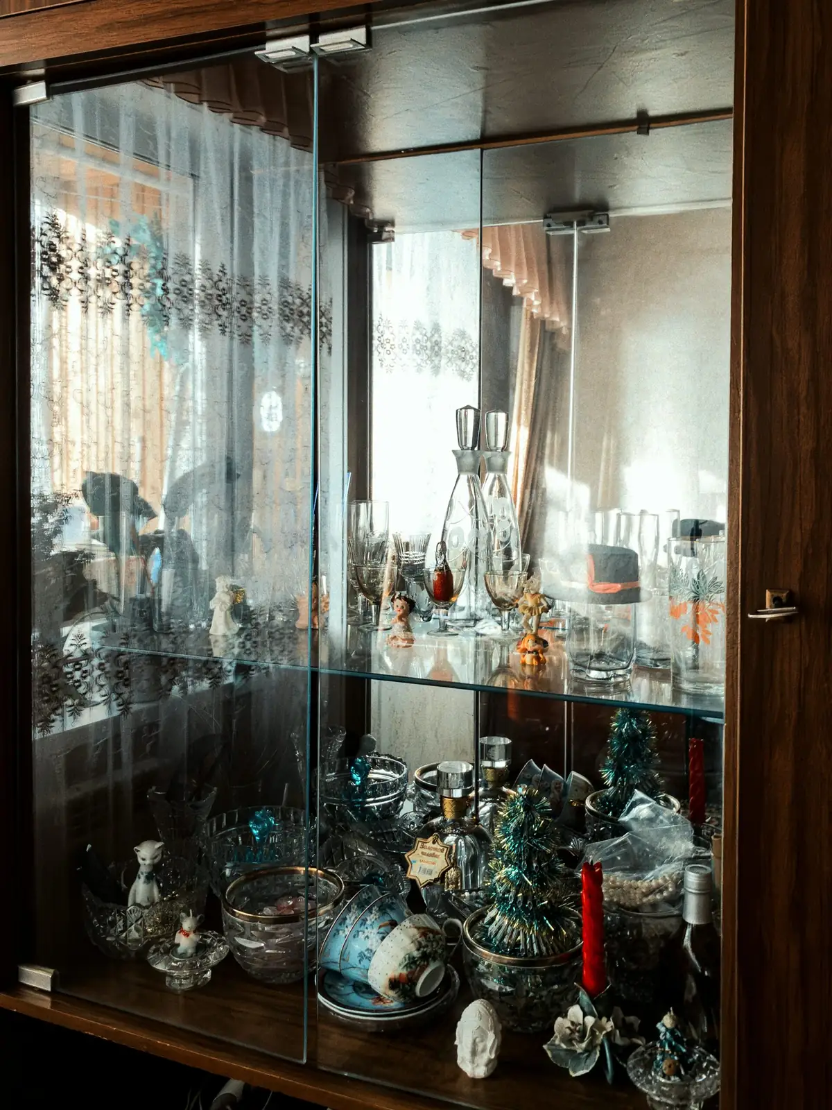 aluminum plant in glass cabinet