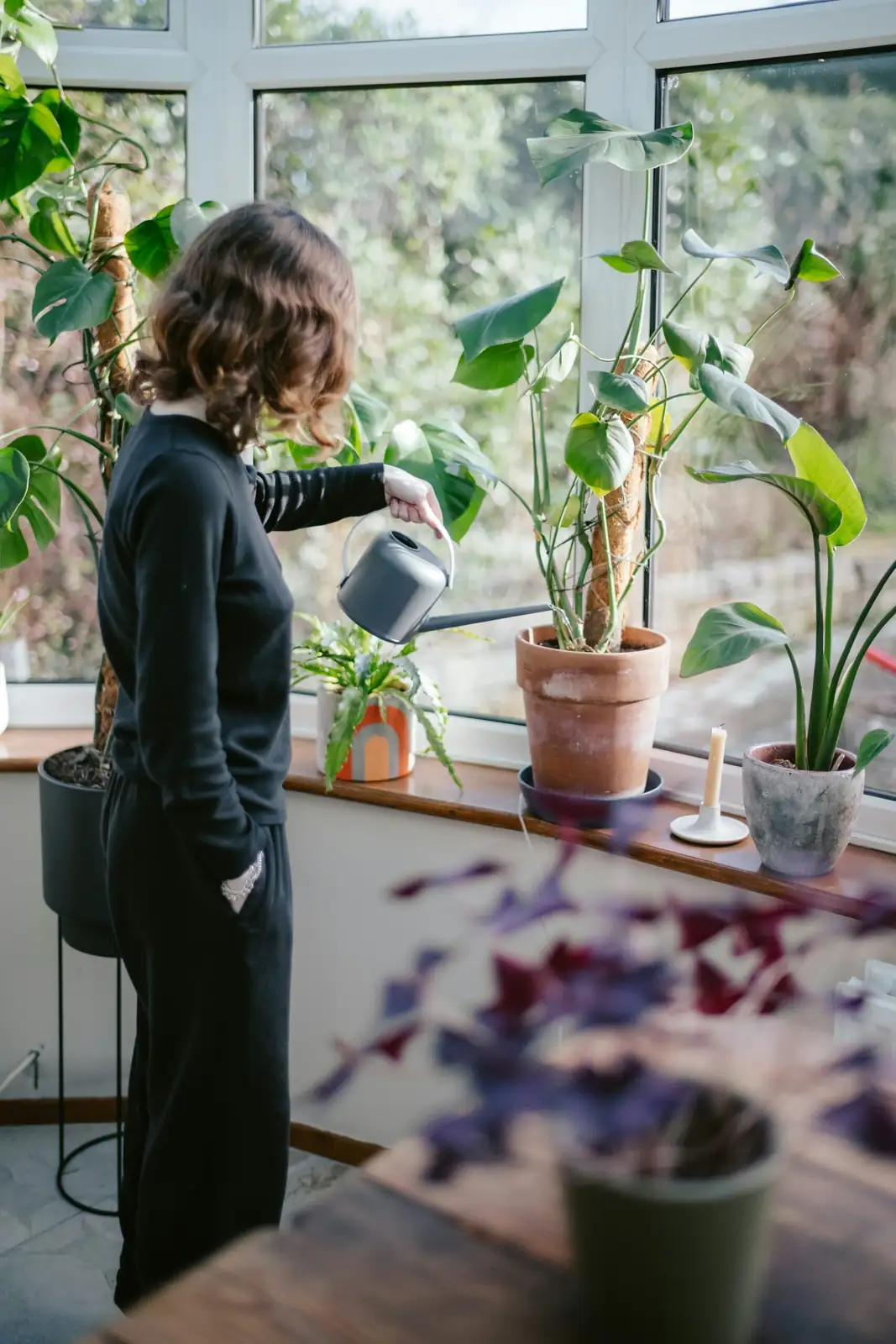 aluminum plant stem cuttings in water