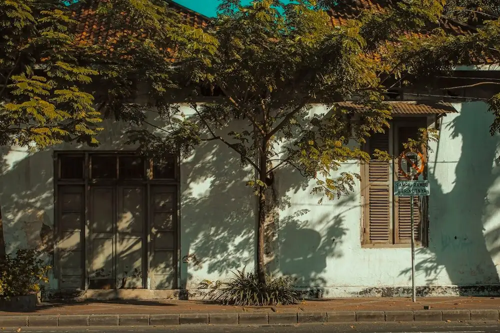 Balcony Vacation Without Sunburn: Move Your Umbrella Tree Outdoors the Right Way
