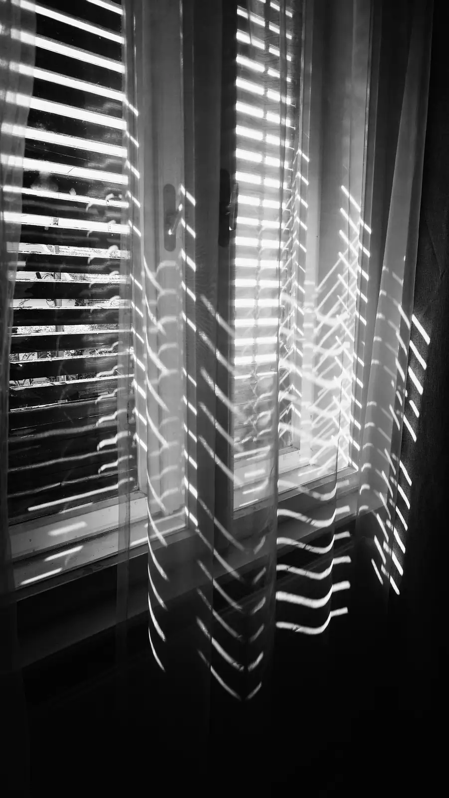 dwarf umbrella tree east window sheer curtain