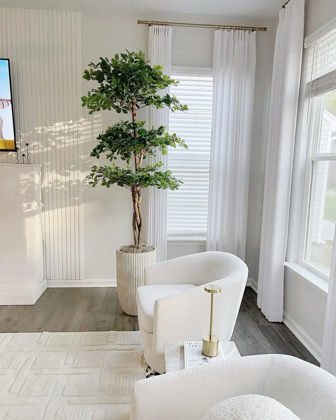 Pretty, But Not for Pets: Safe Placement and First Aid for Schefflera Owners