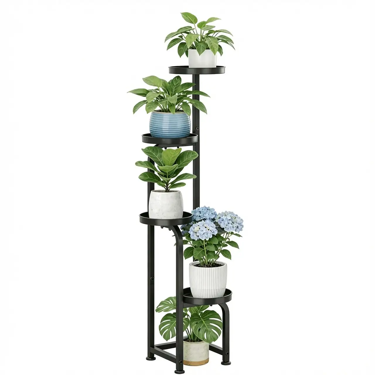 schefflera high wall shelf toddler