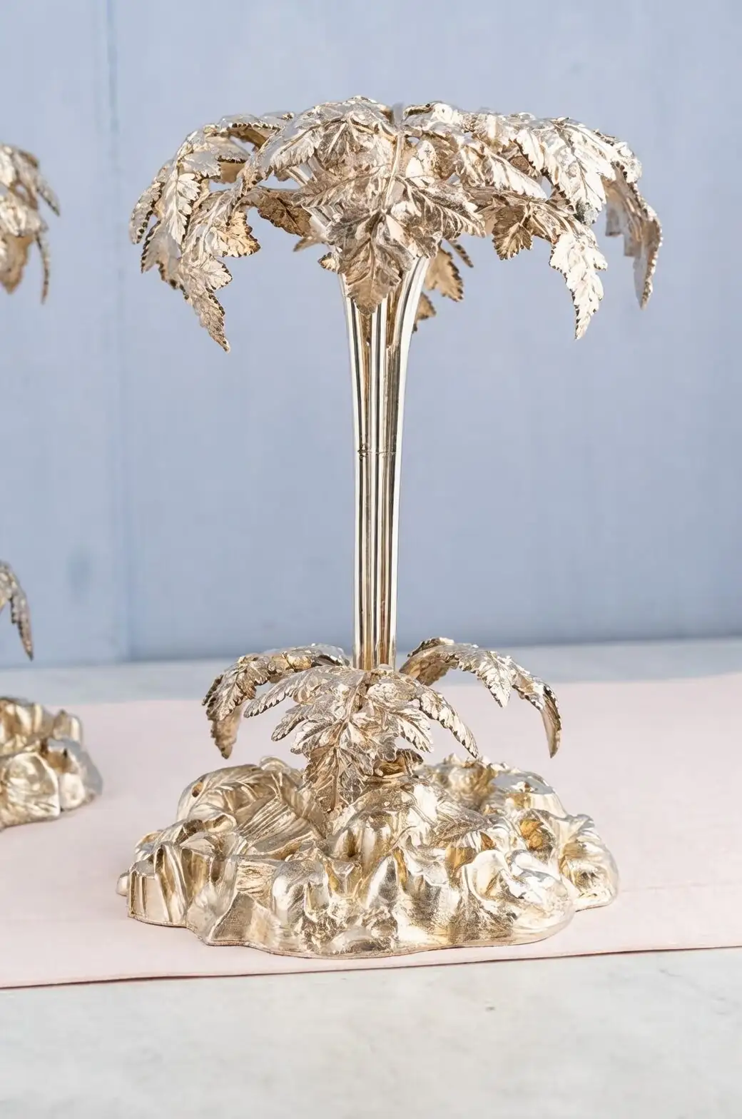 No Flowers, Still a ‘Flower Language’? Fern Symbolism from Victorian Parlors to Feng Shui