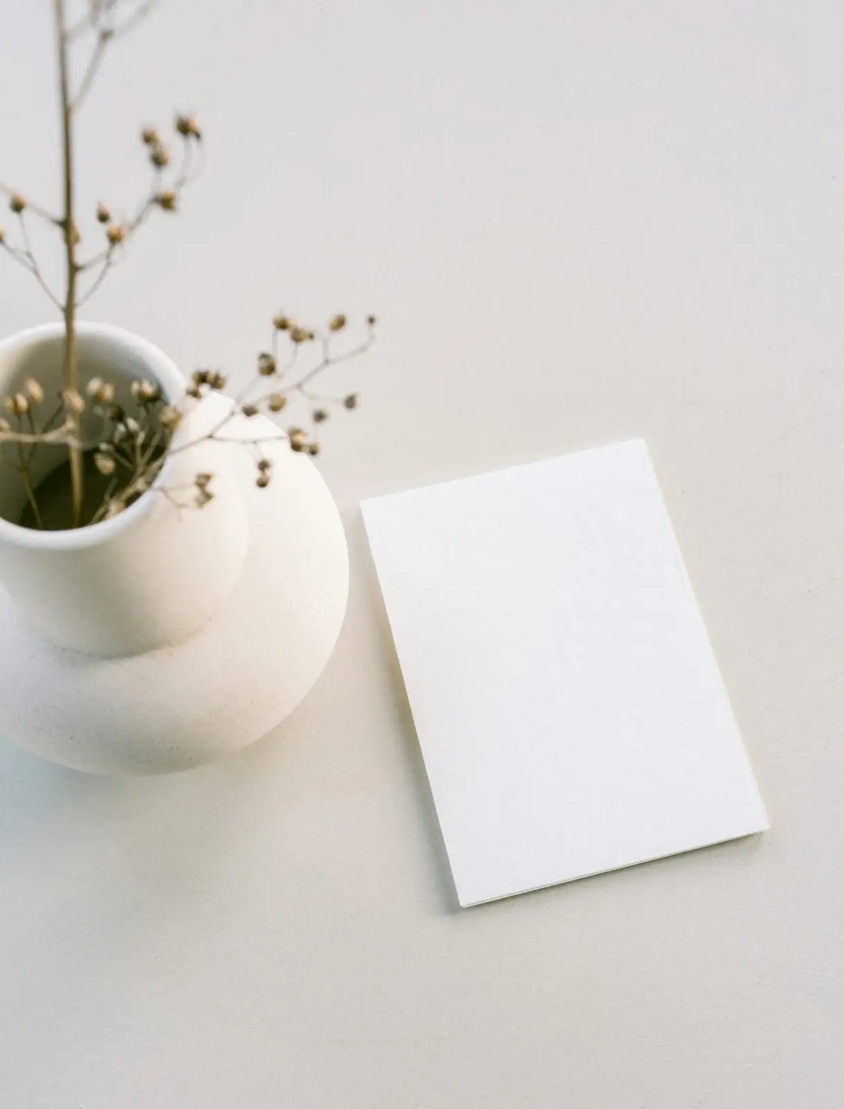 Chinese brake fern gift pot card
