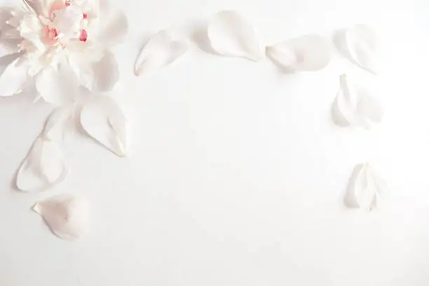 Chinese peony petal pancakes