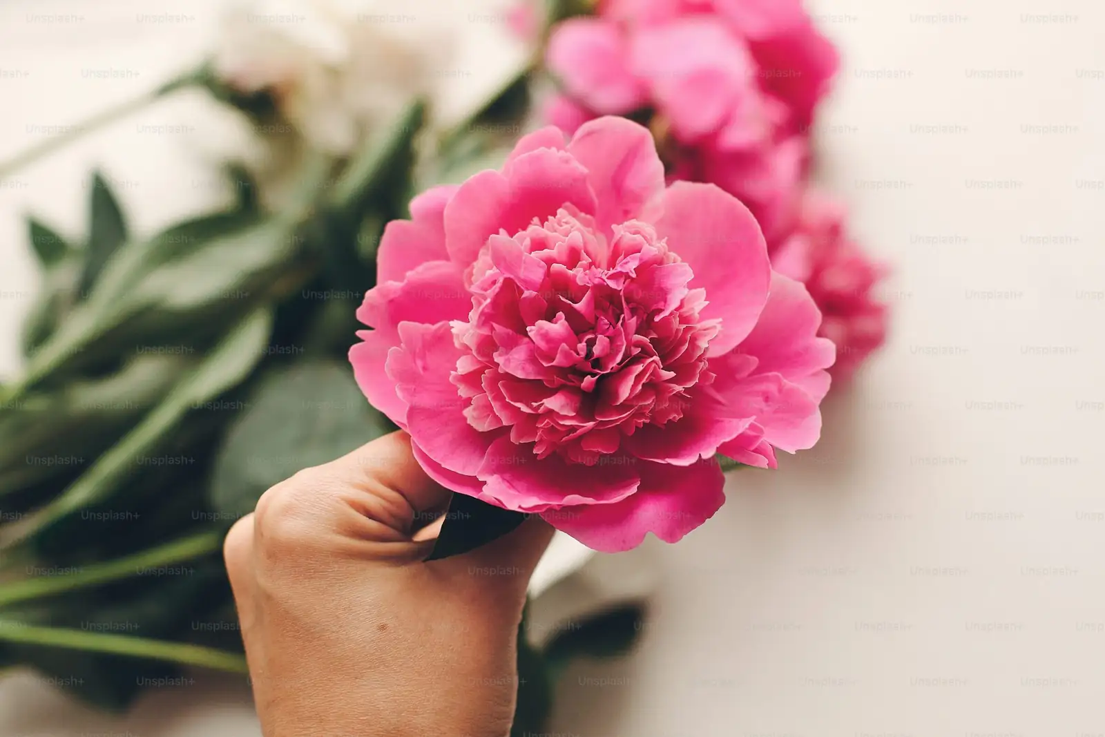 peony aluminet shade cloth