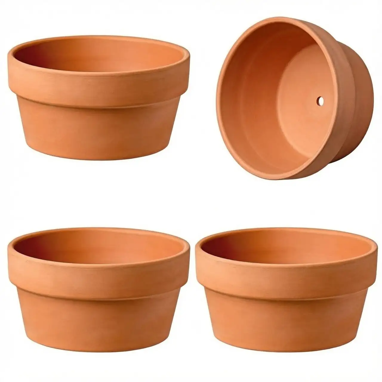florist azalea terracotta pot drainage