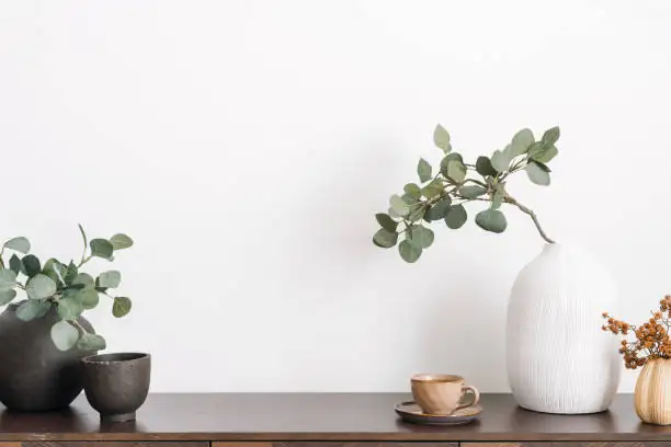 zebra plant bathroom shelf bright