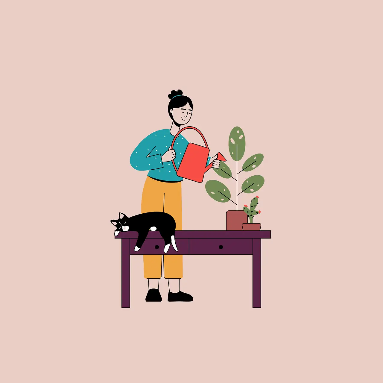 zebra plant watering can draining sink