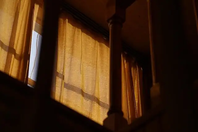 jade plant south window sunlight