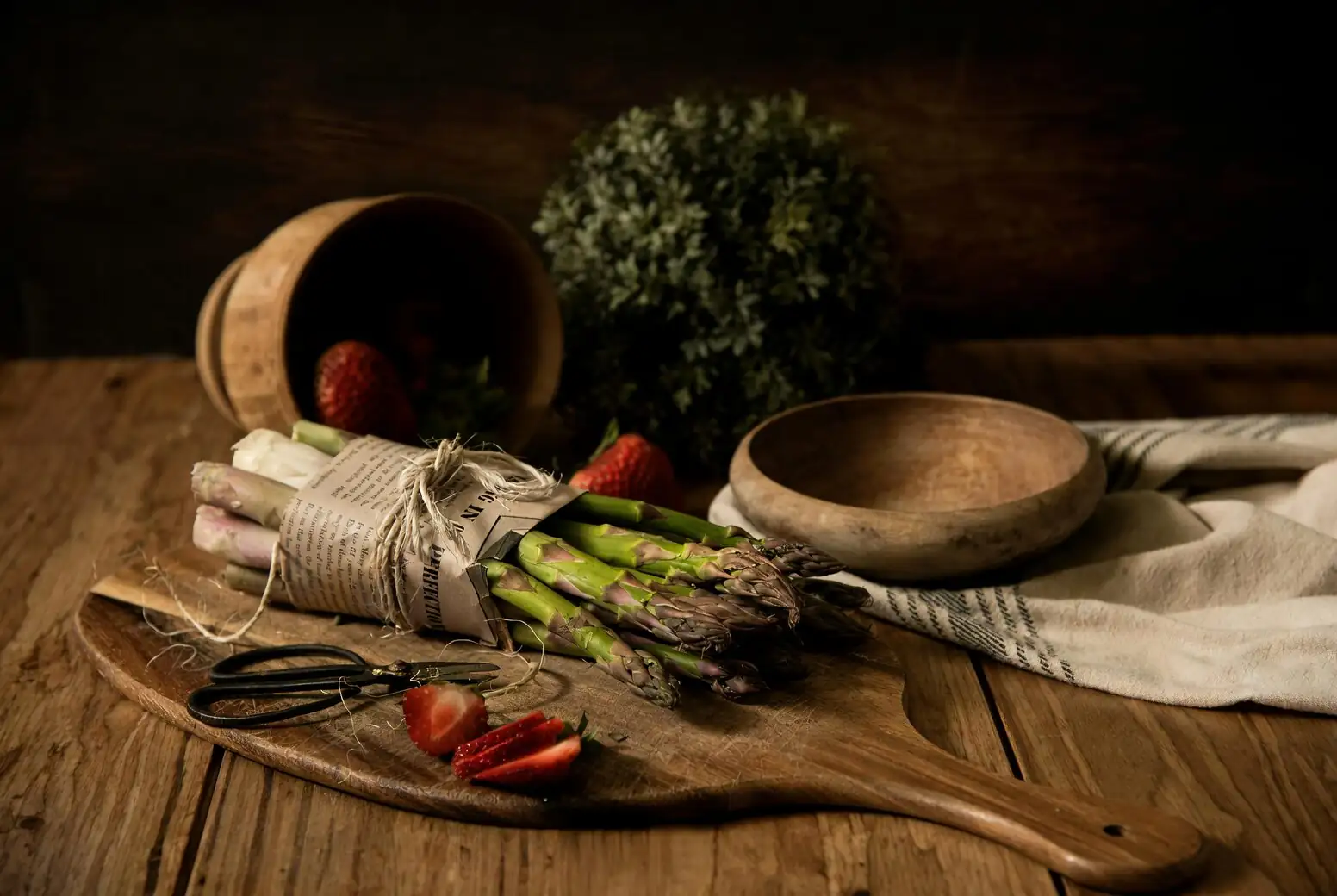 asparagus densiflorus cladodes and berries