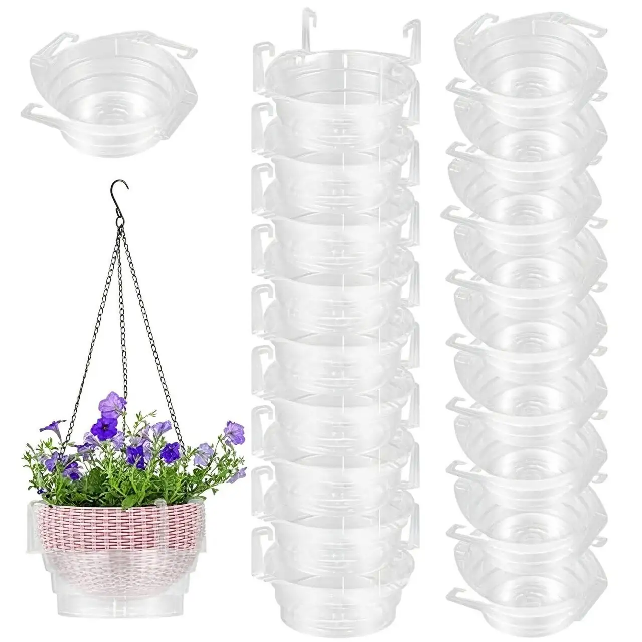asparagus fern hanging basket drip saucer