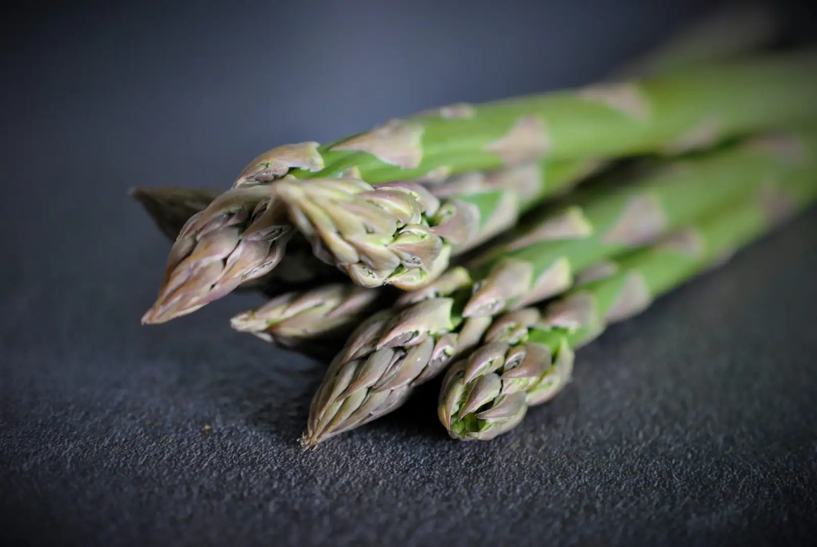 asparagus aethiopicus prickly trailing stems