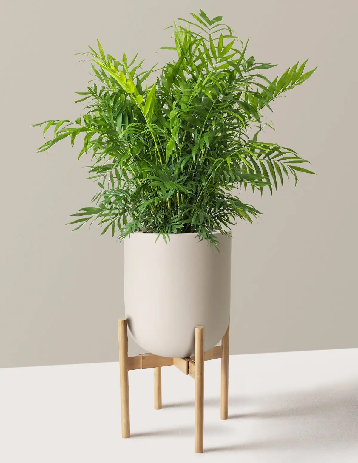 parlor palm on stand with lamp