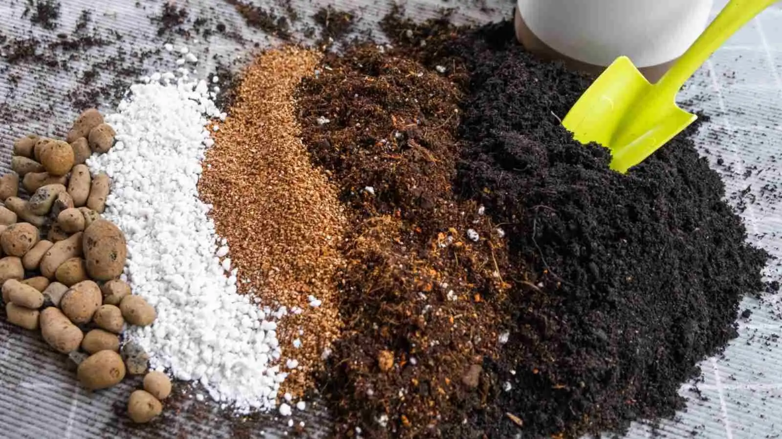 parlor palm potting mix perlite sand