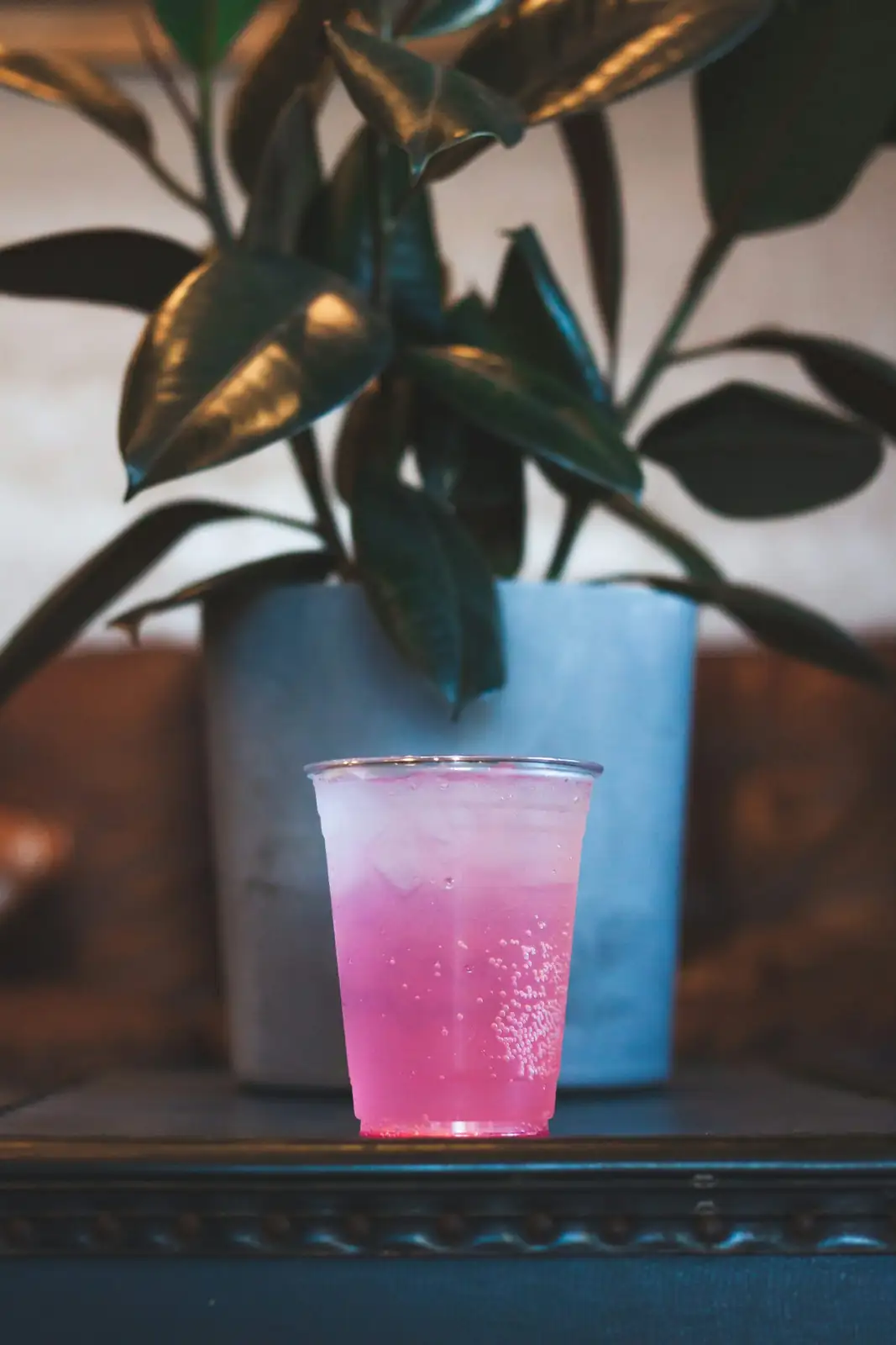pink quill watering central cup