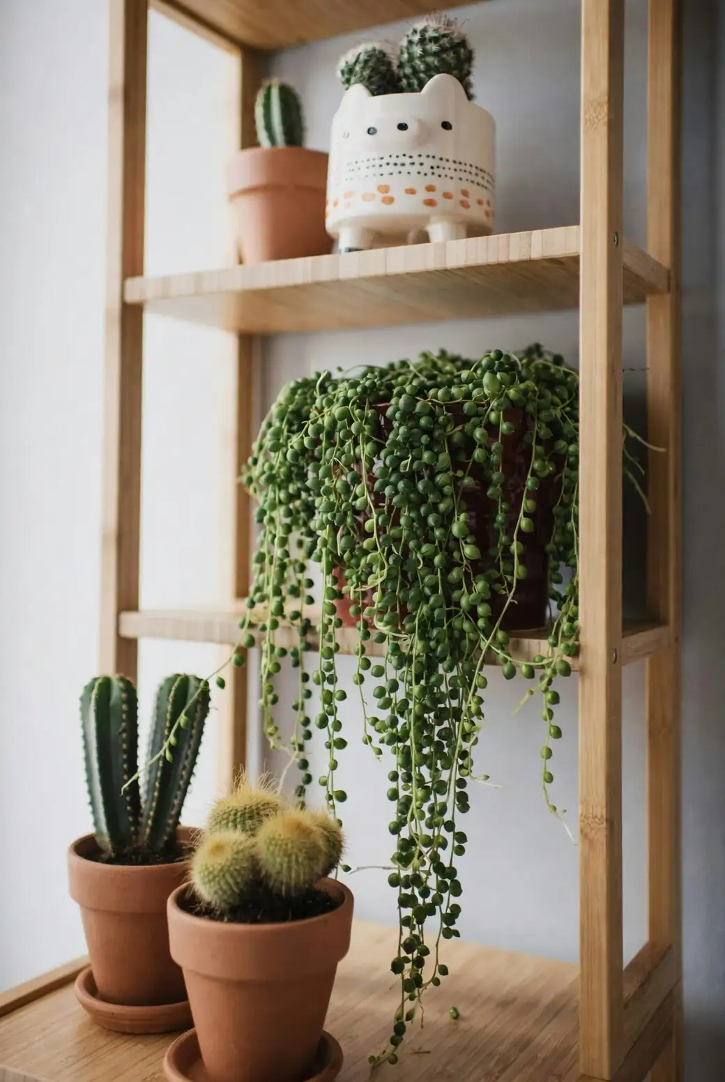 string of pearls hanging shallow bowl