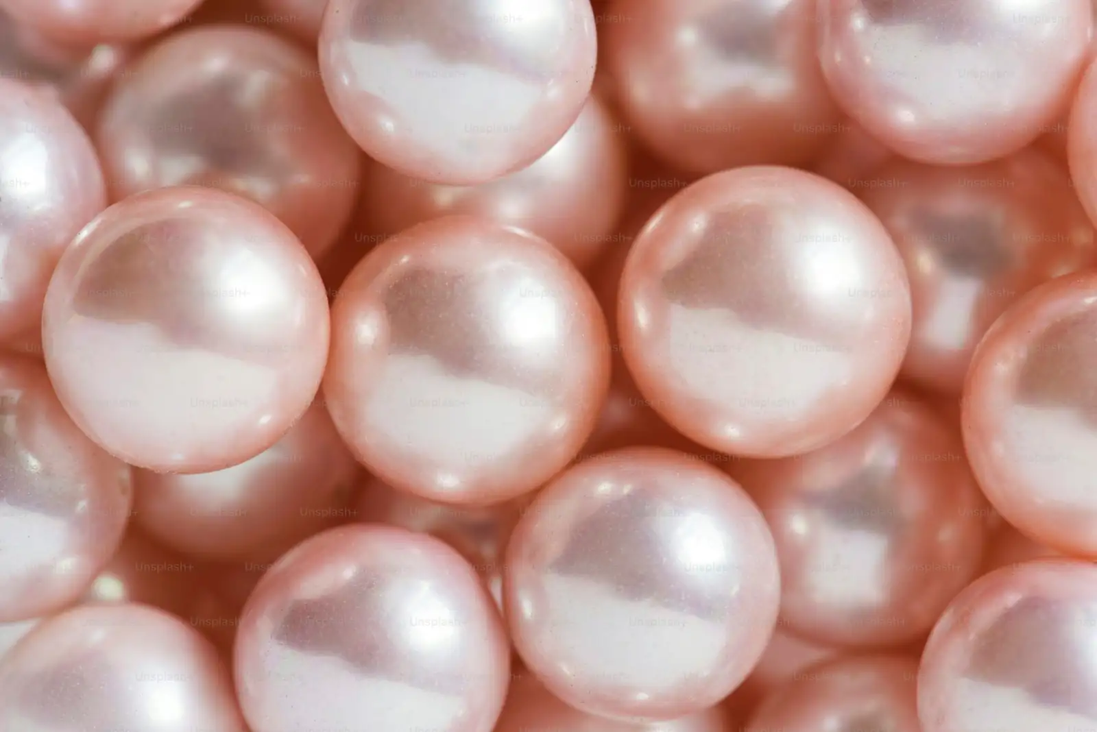 string of pearls leaf close-up