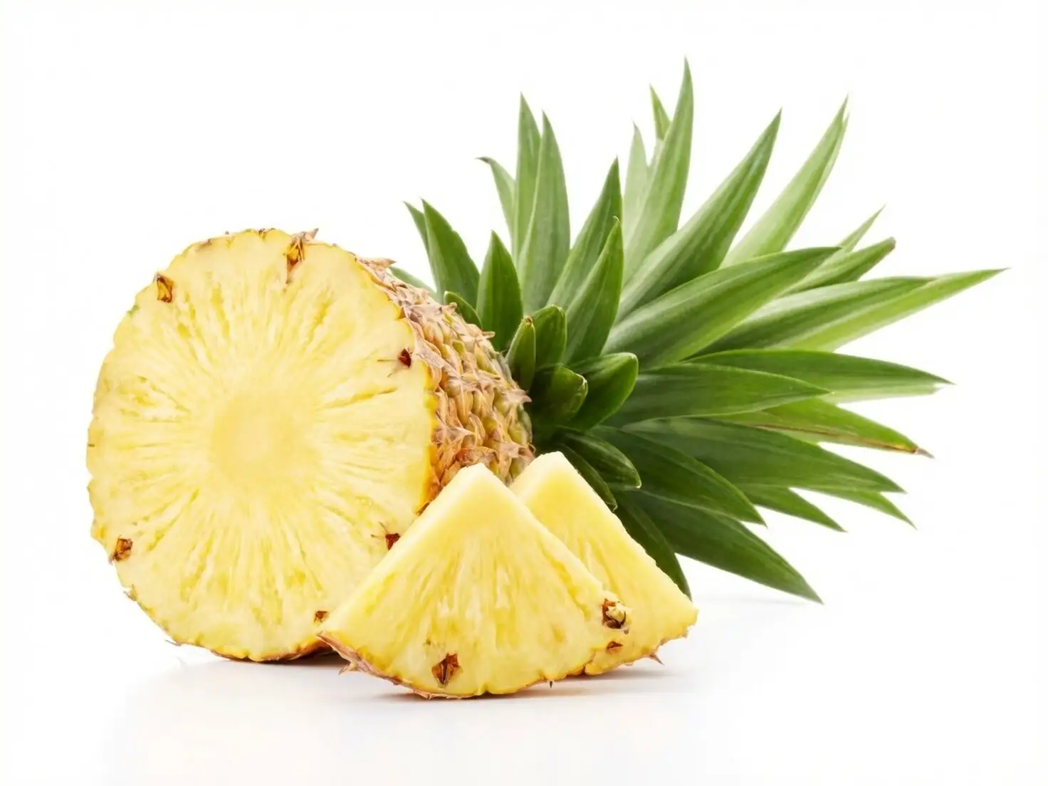 pineapple slips on fruit stalk