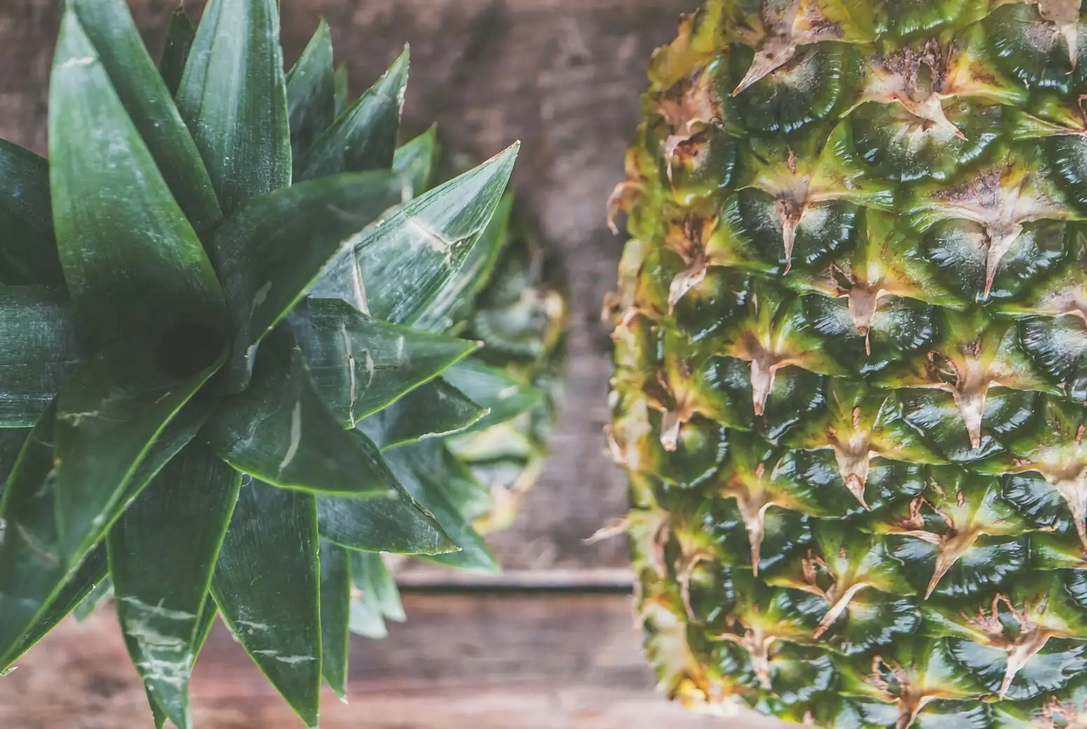 The Enzyme Behind the Tingle: Bromelain Myths, Marinades, and Desserts