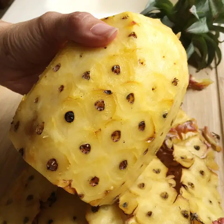 Count the Spirals! A Family Guide to Seeing Math on Pineapples