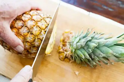 pineapple spiral counting materials flat lay