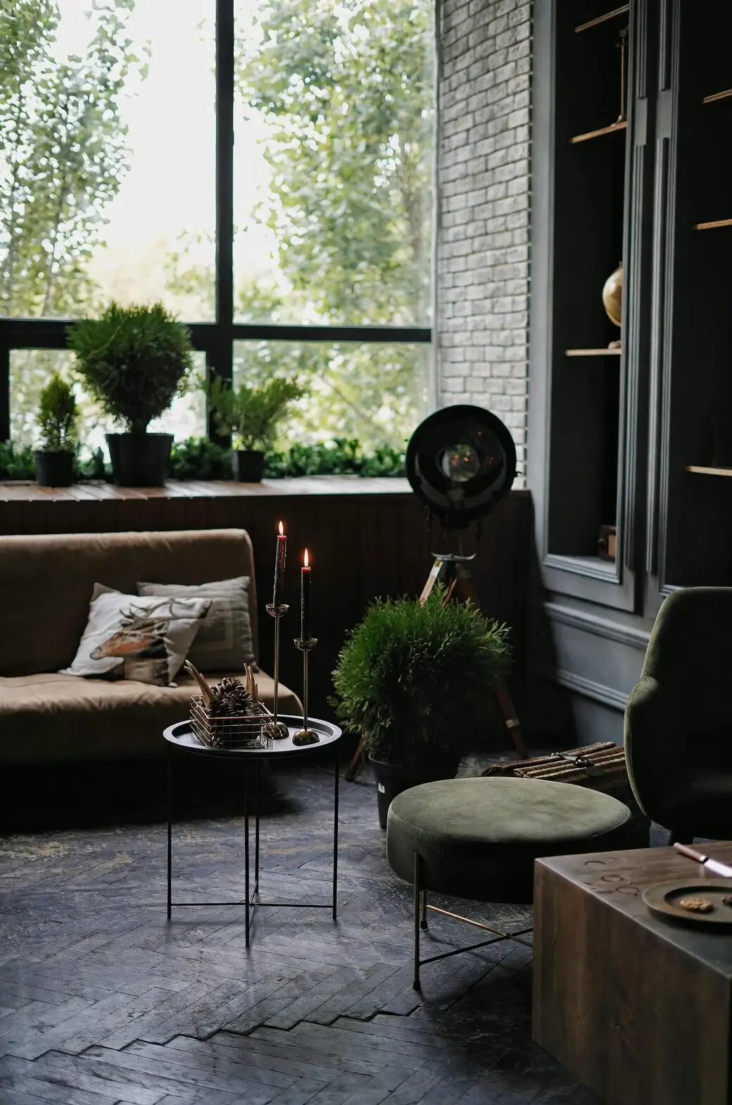 Hanging‑Basket Halo: Styling a Semi‑Trailing Easter Cactus for Small, Bright Homes