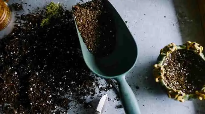 easter cactus potting mix ingredients