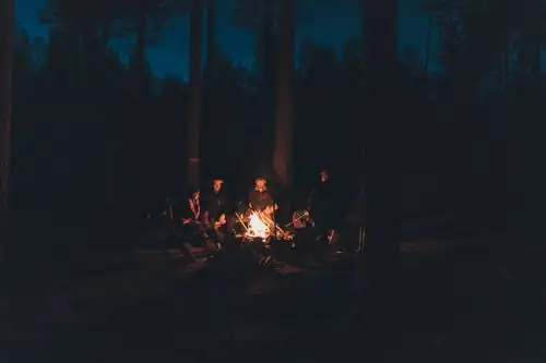 fern forest midsummer bonfire night
