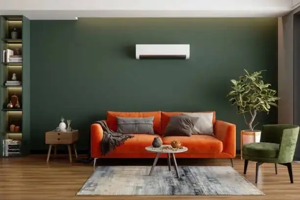 fern near air vent living room