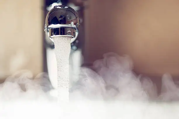 fern in bathroom with steam