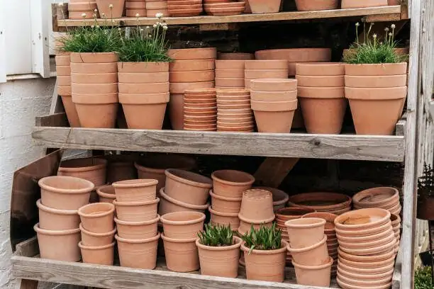 succulent gift set ceramic pots