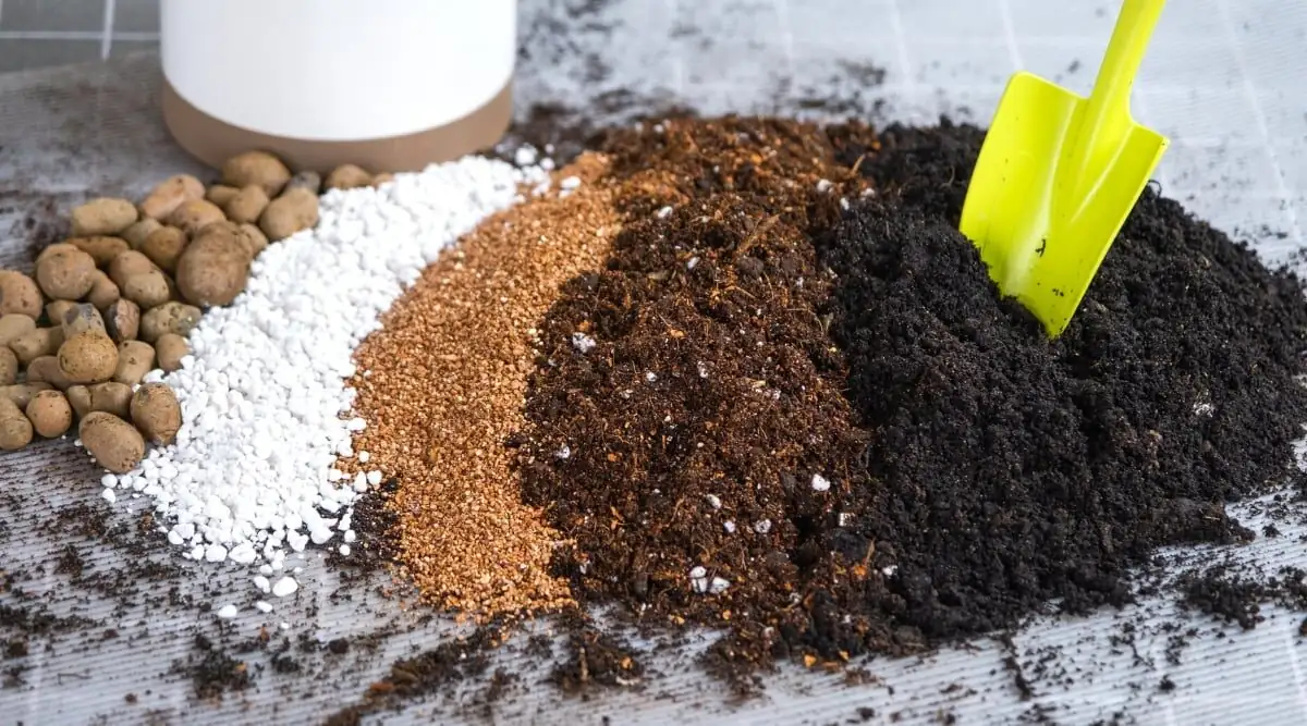 succulent gritty soil mix close-up