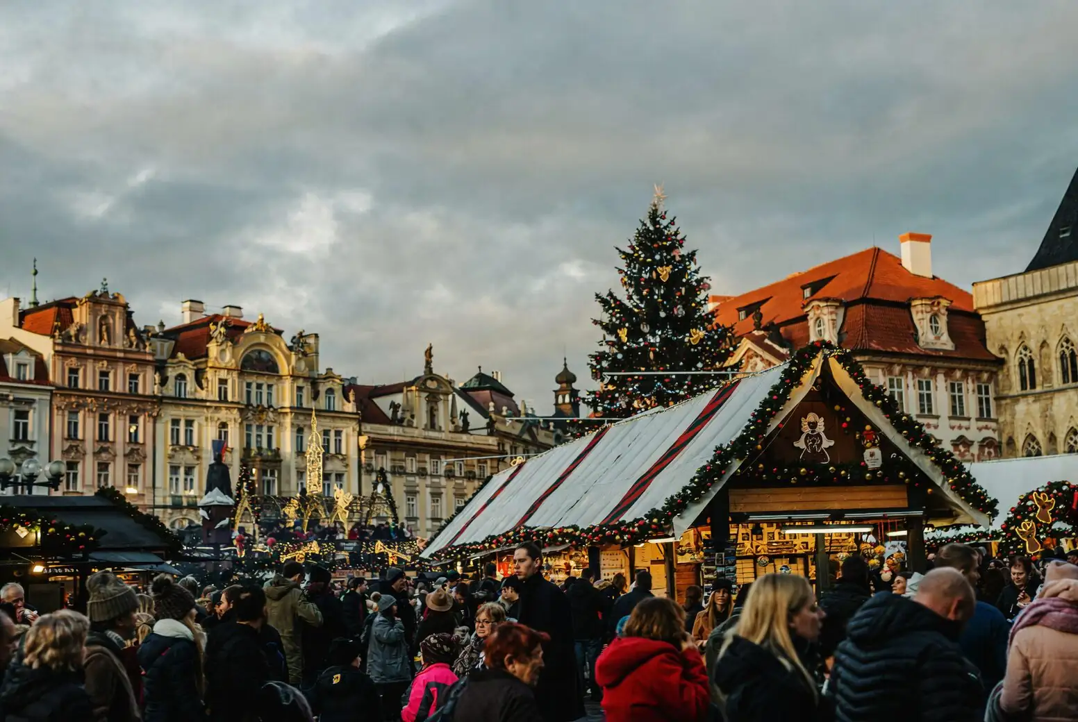 jerusalem cherry holiday market stall