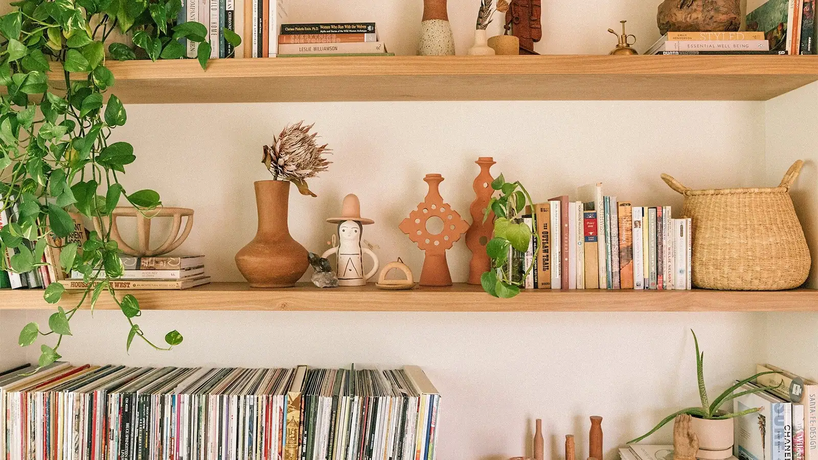 jerusalem cherry on high shelf living room
