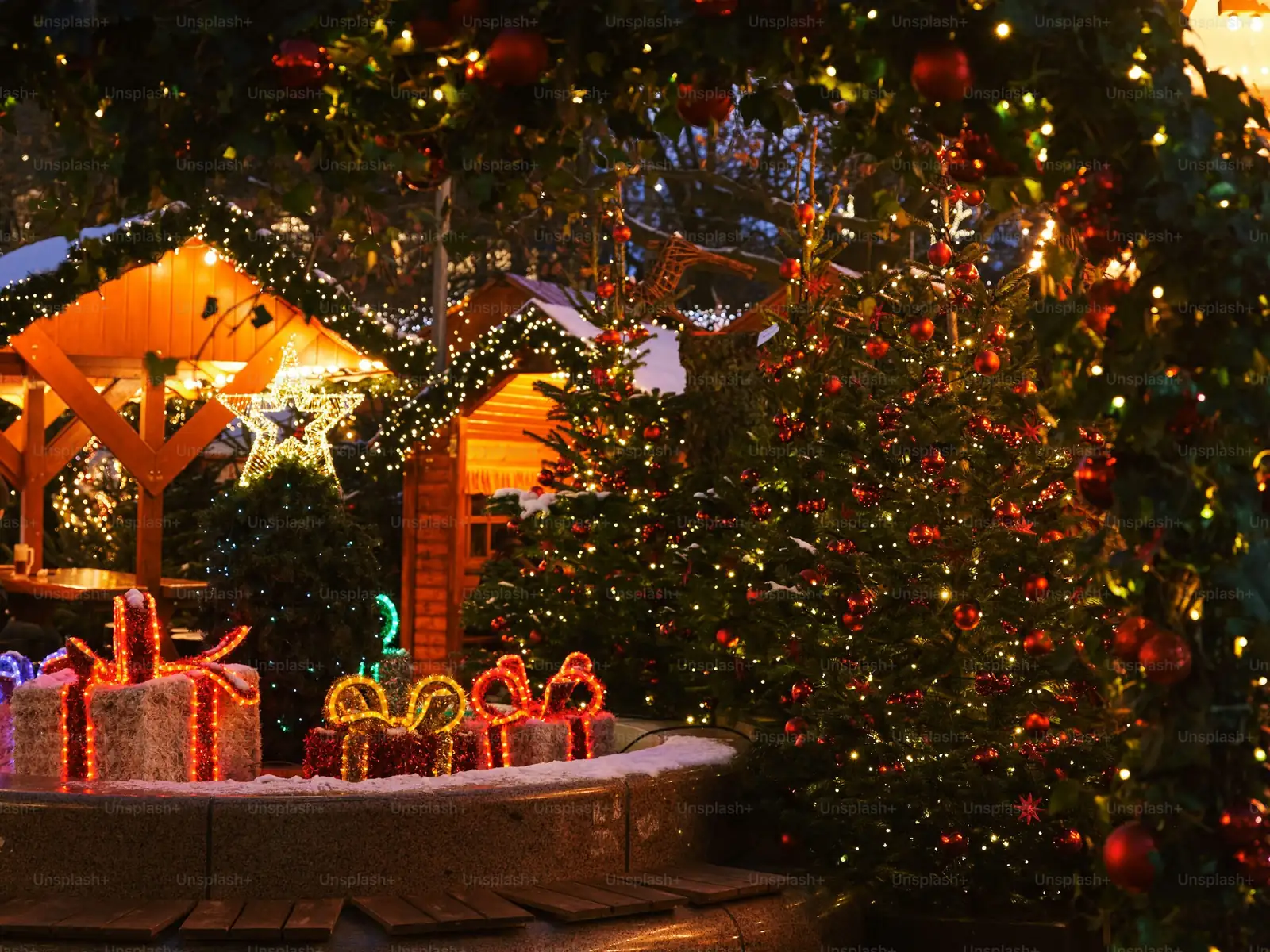 Jerusalem cherry indoor winter display