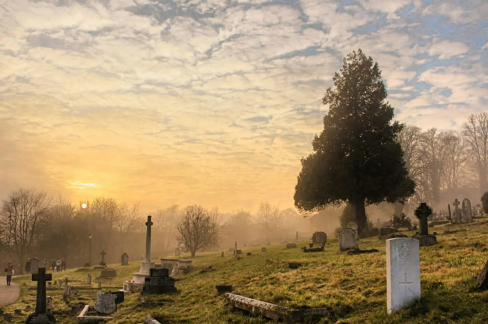 yew tree churchyard gravestones fog