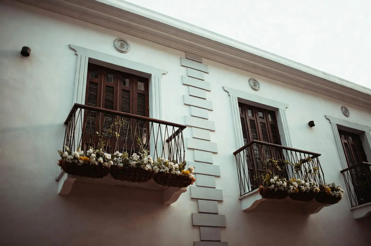 cape shamrock balcony window box