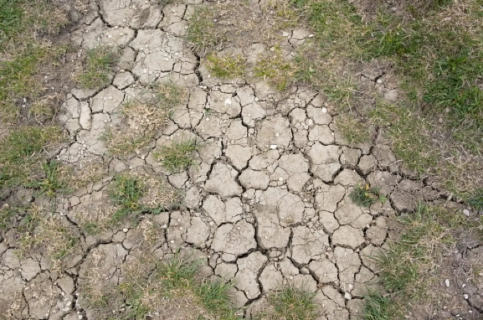cape shamrock soil spill cleanup