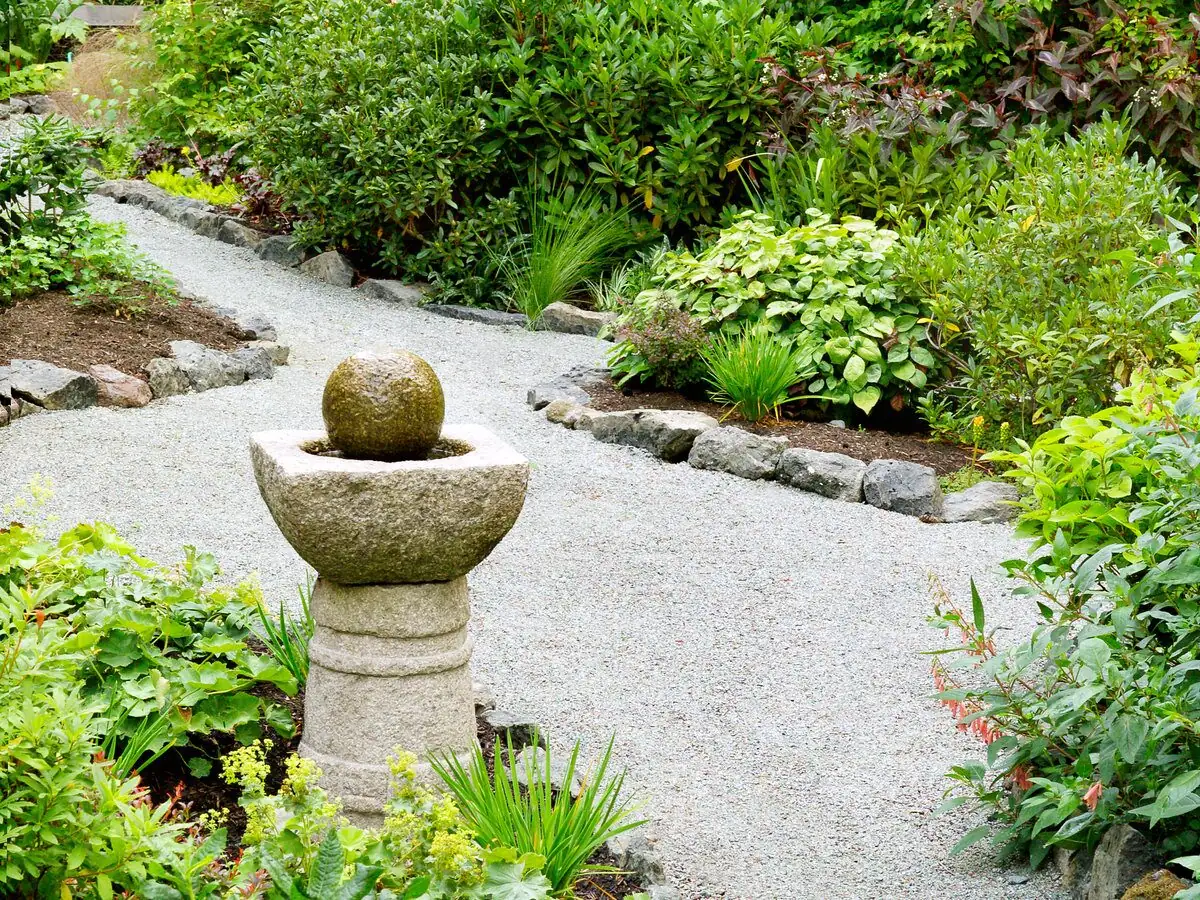 cape shamrock gravel path border