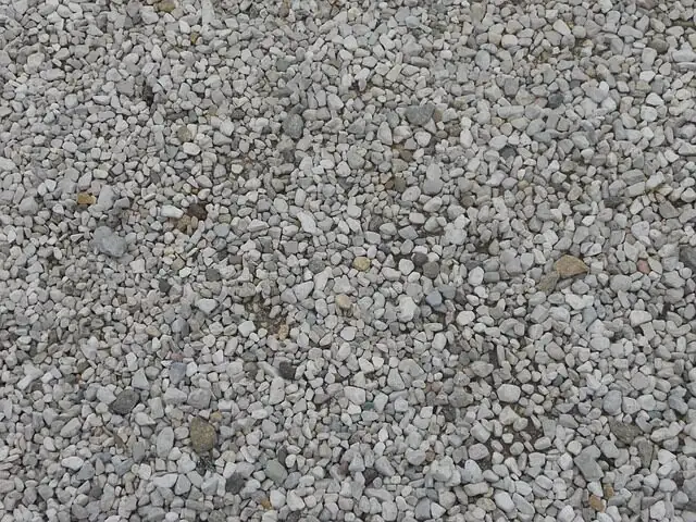 Iron Cross Begonia pebble tray setup