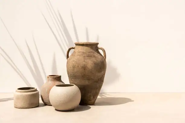 begonia masoniana clay and ceramic pots