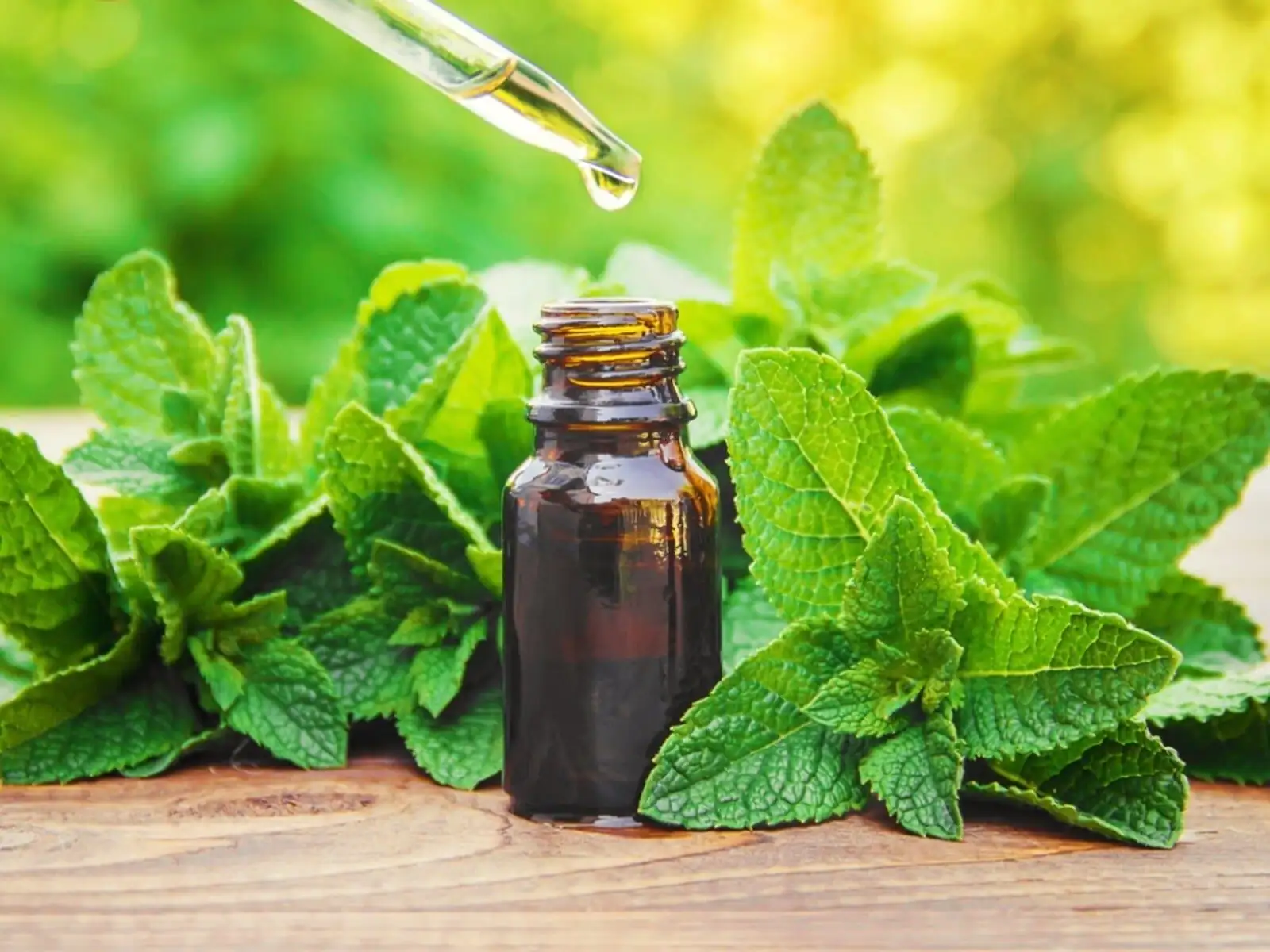 peppermint oil dropper leaves close-up