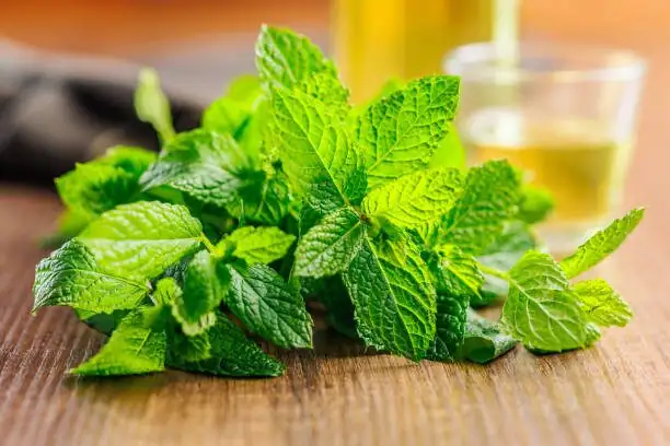 Beyond Mojitos: 12 Unexpected Ways to Cook and Sip Peppermint (Including a Comforting Mint Porridge)