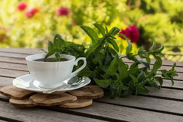 The Runaway Rhizome Tamer: Barriers, Bottomless Buckets, and Patio Troughs for Peppermint