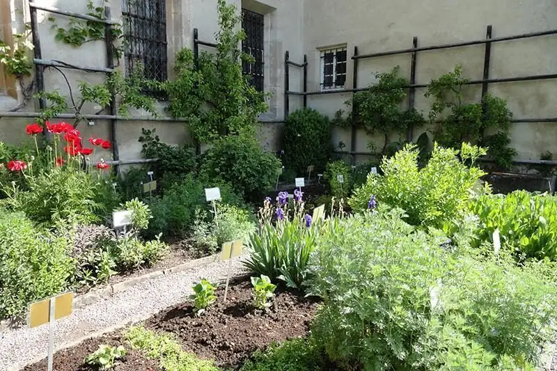peppermint monastery herb garden