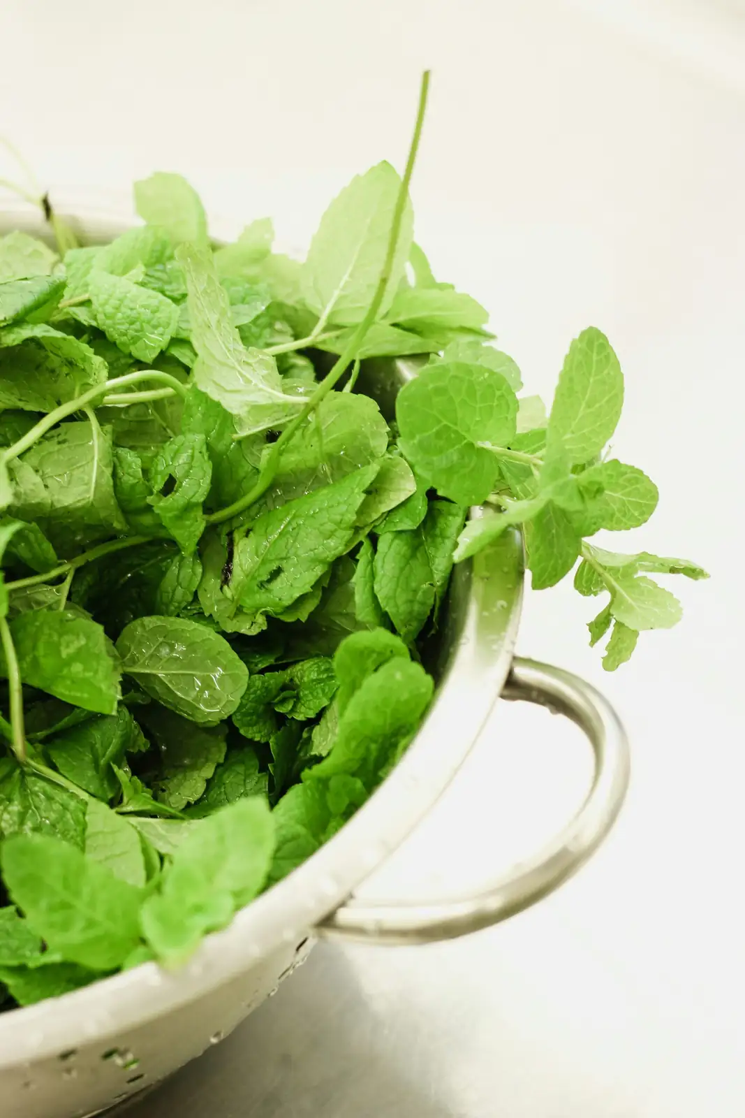 peppermint leaves washing in bowl