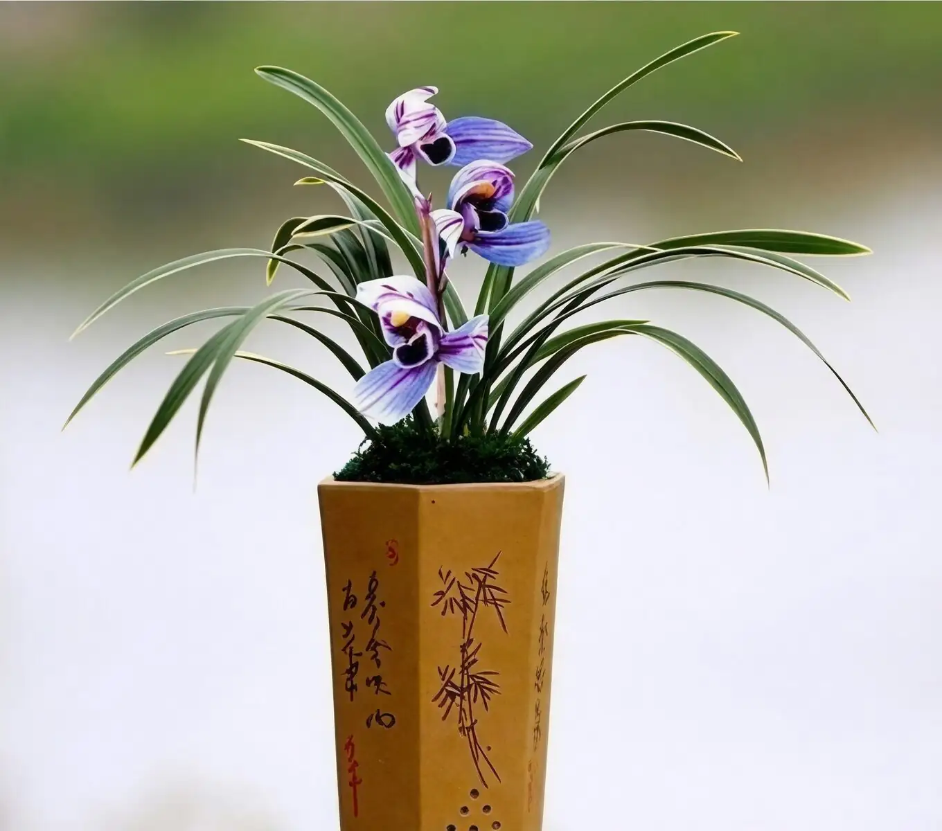 cymbidium goeringii scholar desk inkstone