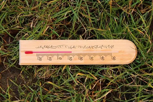 Cymbidium goeringii cool windowsill thermometer