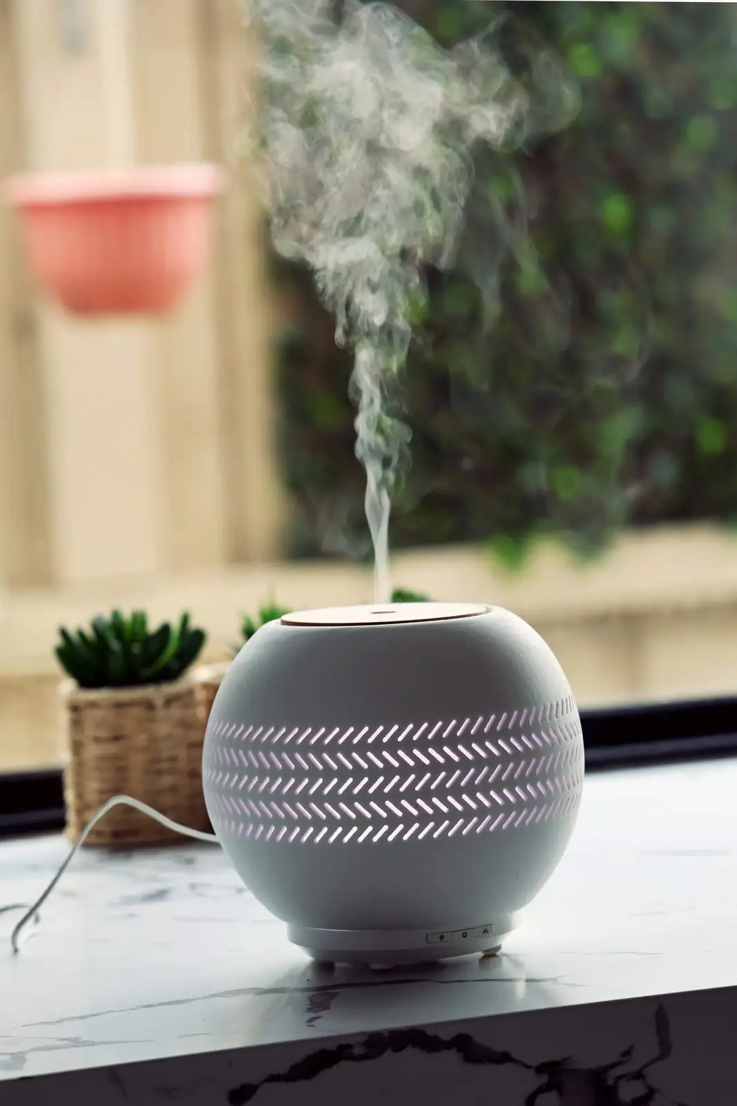 cymbidium goeringii pebble tray humidifier